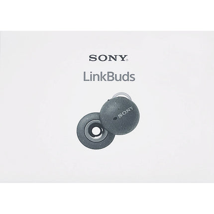 LinkBuds True Wireless Open-Ear Earbuds, Dark Gray