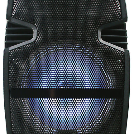 Portable PA Bluetooth Speaker