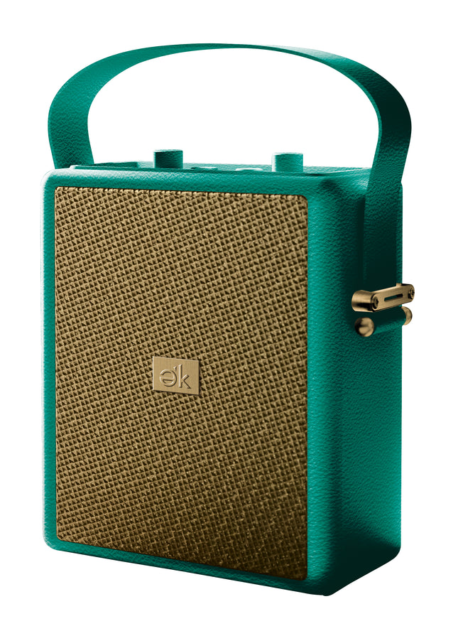 Vera Wireless Speaker with Microphone Input and EQ Controls