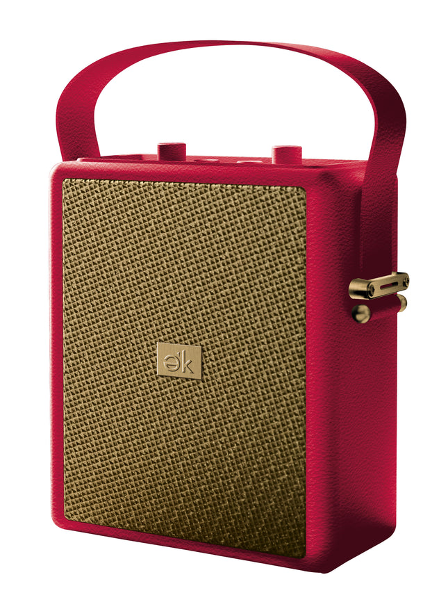 Vera Wireless Speaker with Microphone Input and EQ Controls
