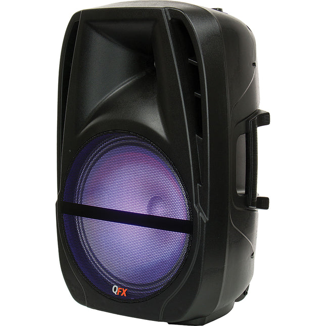 12" Portable Party Speaker