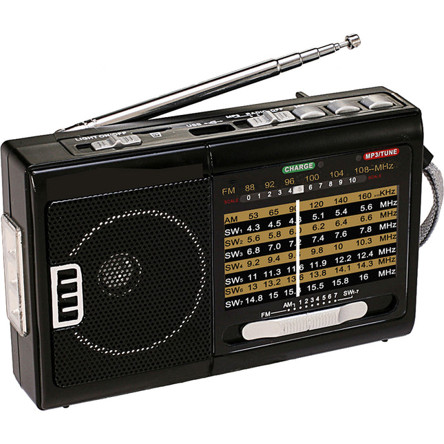 AM/FM/SW1-7 10 Band Radio