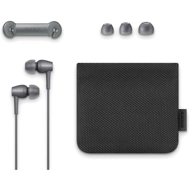 h.ear in 2 wired in-earbuds