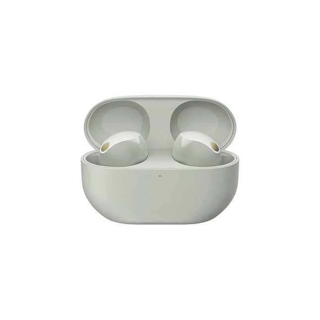 Noise-Canceling True Wireless In-Ear Headphones, Silver